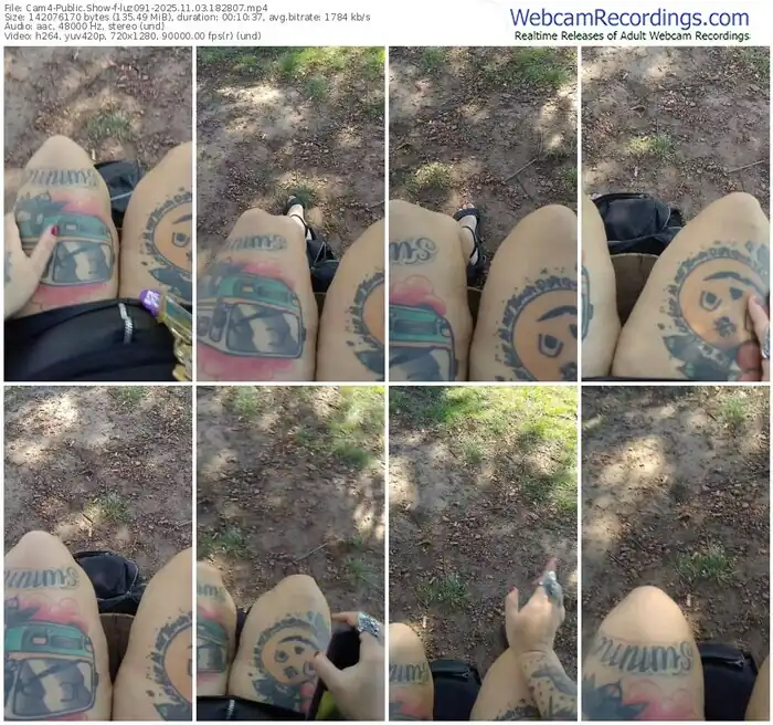 2025/11/03/cam4-luz091-18-28-07