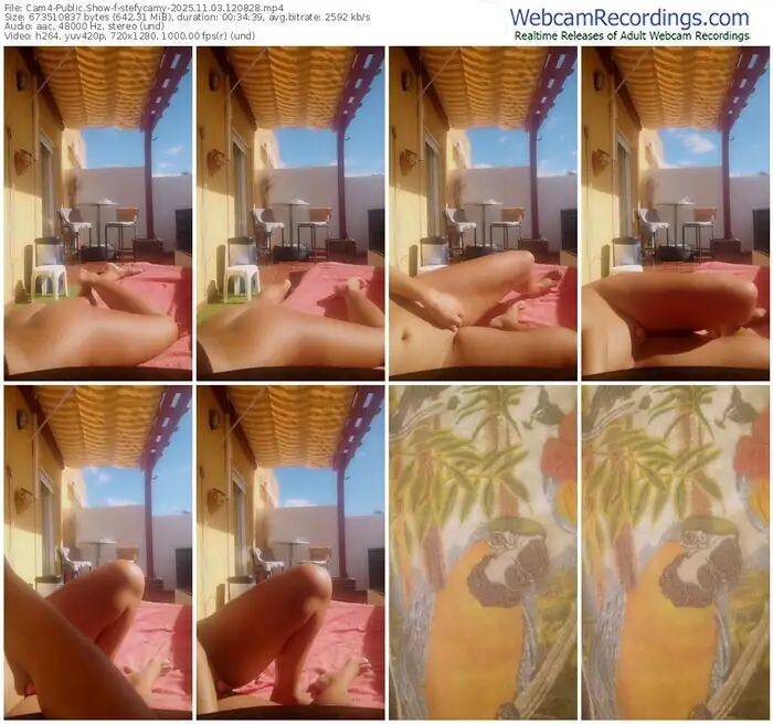 2025/11/03/cam4-stefycamy-12-08-28