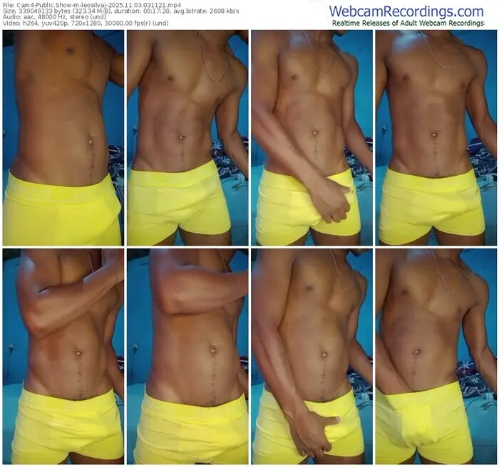 2025/11/03/cam4-leosilvaj-03-11-21