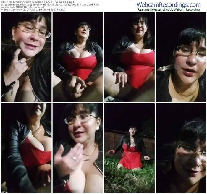 2025/11/04/cam4-winebee-04-28-14