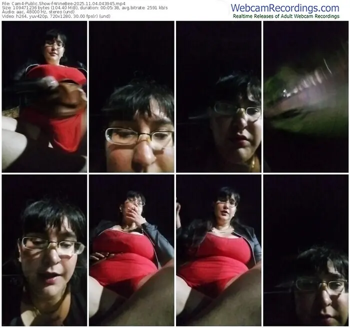 2025/11/04/cam4-winebee-04-39-45