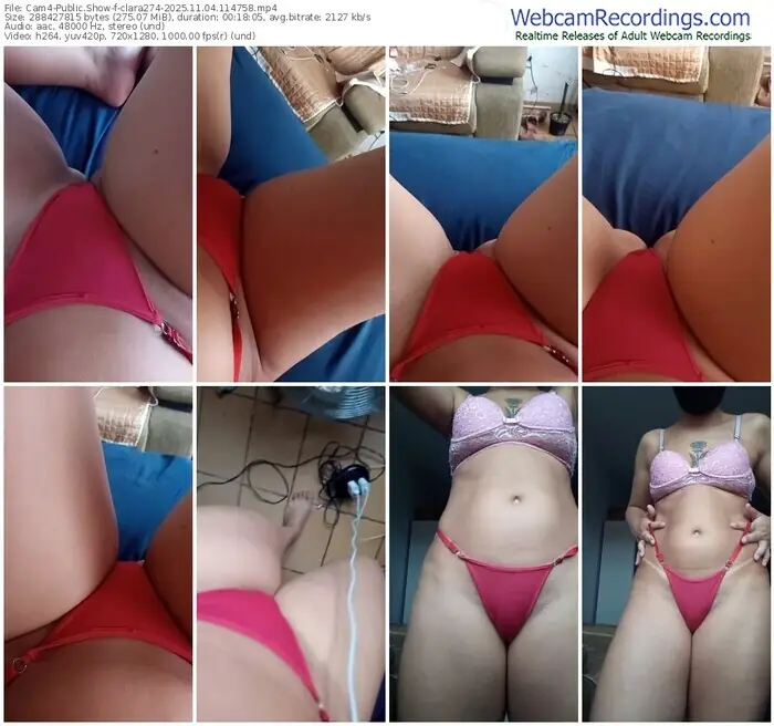 2025/11/04/cam4-clara274-11-47-58