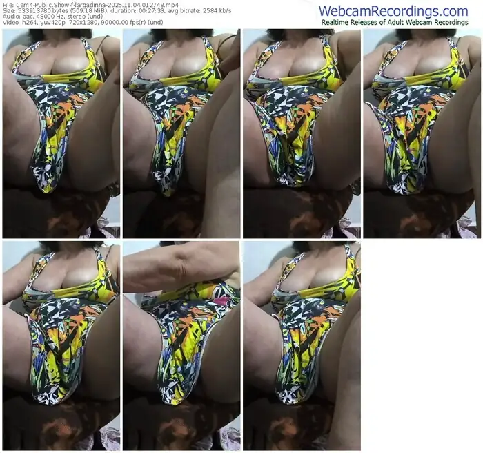 2025/11/04/cam4-largadinha-01-27-48