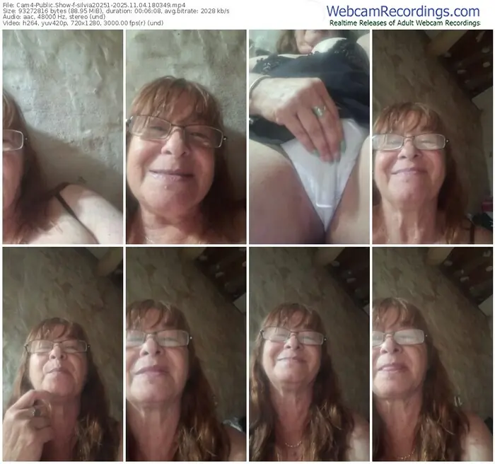 2025/11/04/cam4-silvia20251-18-03-49