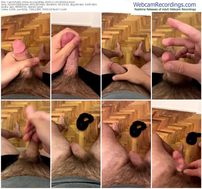 2025/11/04/cam4-lionspaw-00-50-14