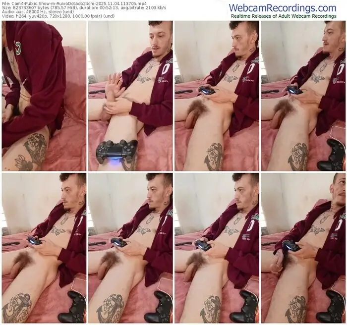 2025/11/04/cam4-ruivodotado24cm-11-37-05