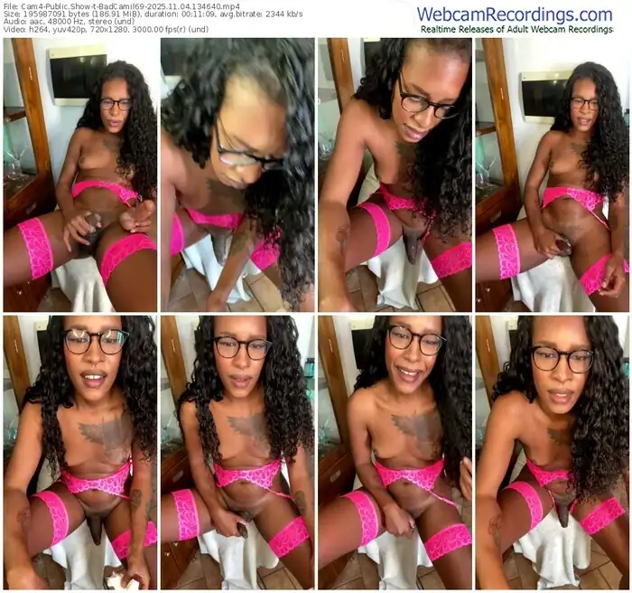 2025/11/04/cam4-badcamil69-13-46-40