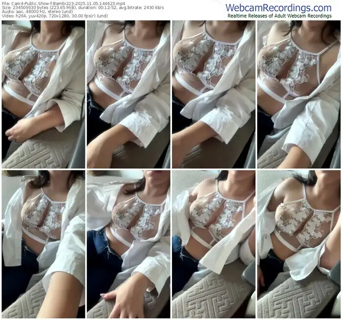 2025/11/05/cam4-bambi223-14-46-23