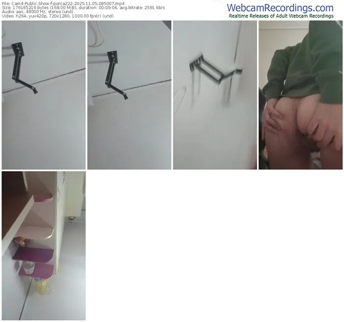 2025/11/05/cam4-porca222-08-50-07