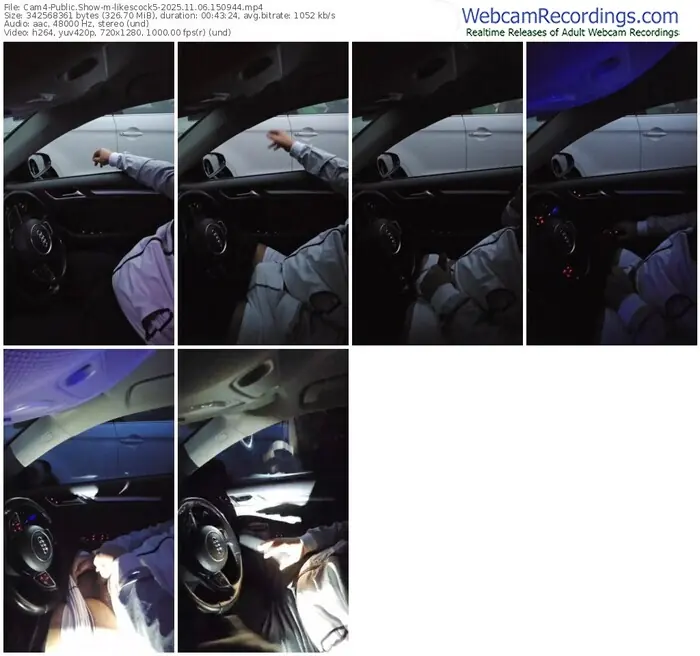 2025/11/06/cam4-likescock5-15-09-44