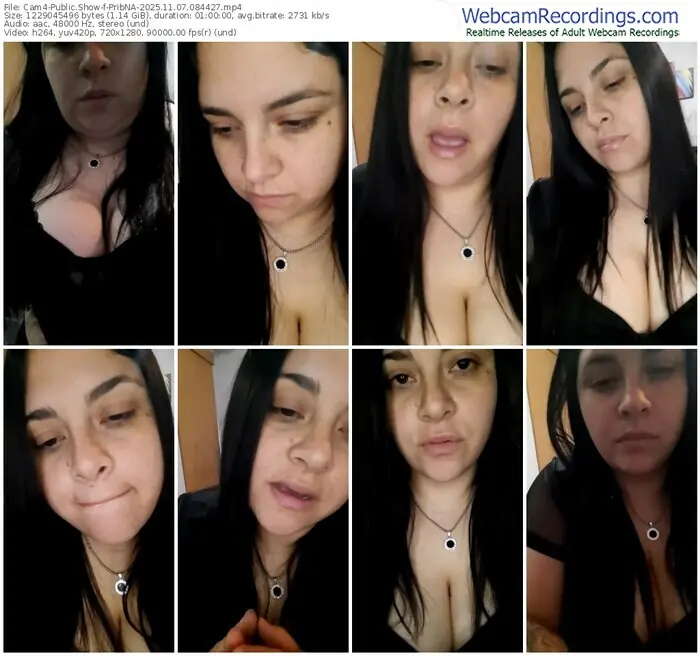 2025/11/07/cam4-pribna-08-44-27