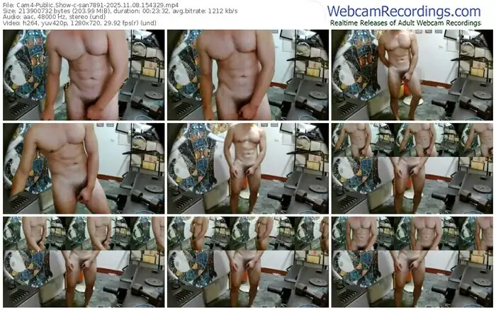2025/11/08/cam4-san7891-15-43-29