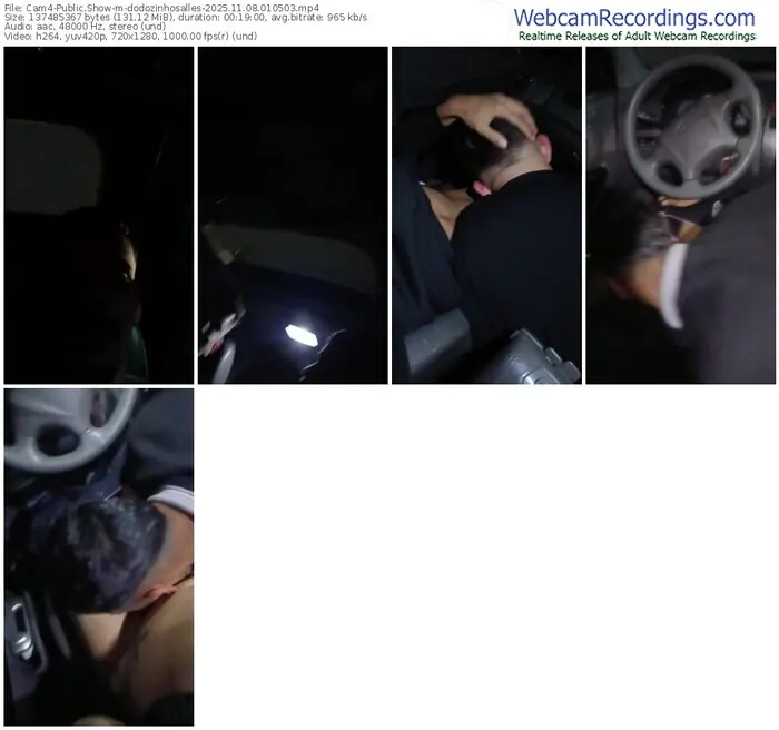 2025/11/08/cam4-dodozinhosalles-01-05-03