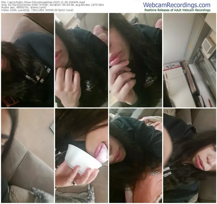 2025/11/09/cam4-nicotinaa90aa-20-49-05