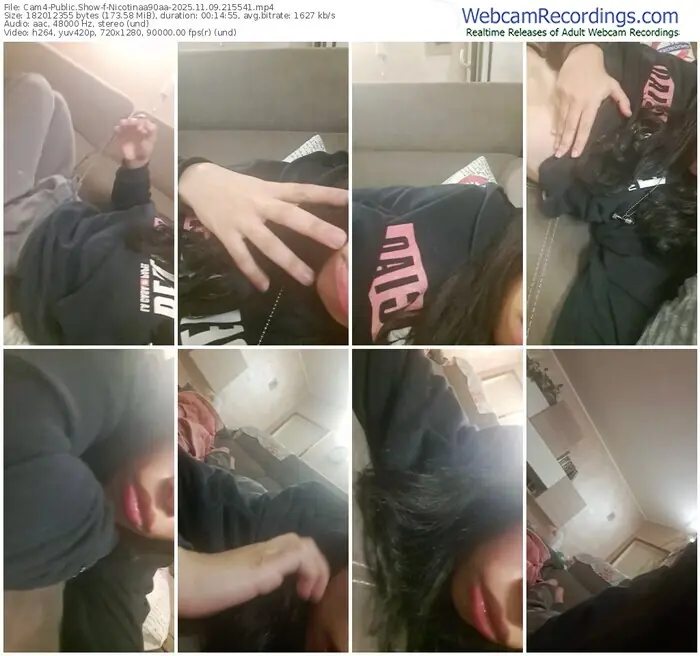 2025/11/09/cam4-nicotinaa90aa-21-55-41