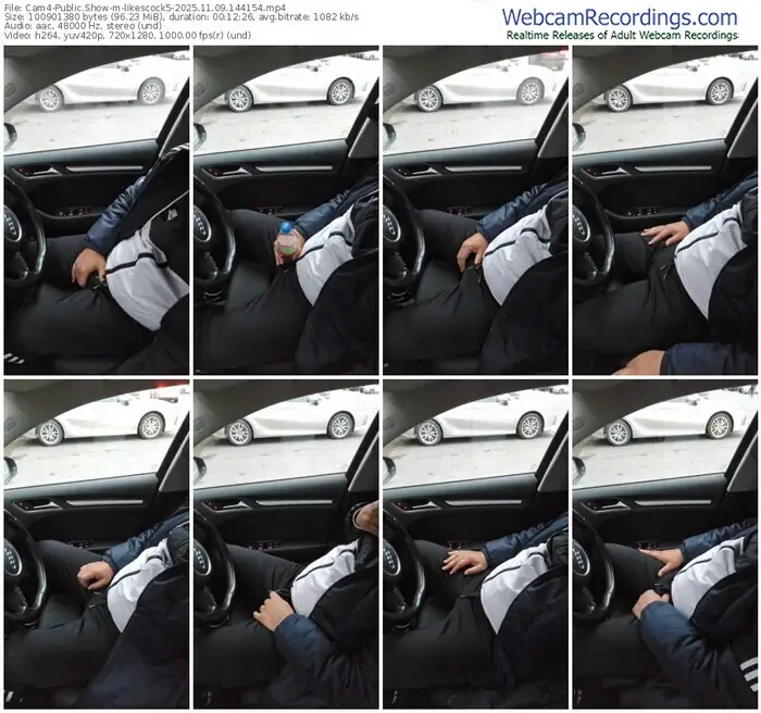 2025/11/09/cam4-likescock5-14-41-54