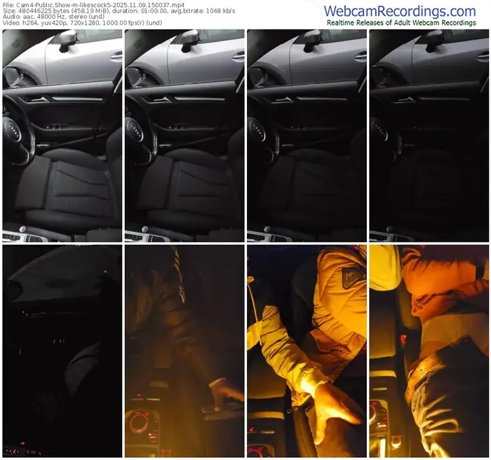 2025/11/09/cam4-likescock5-15-00-37