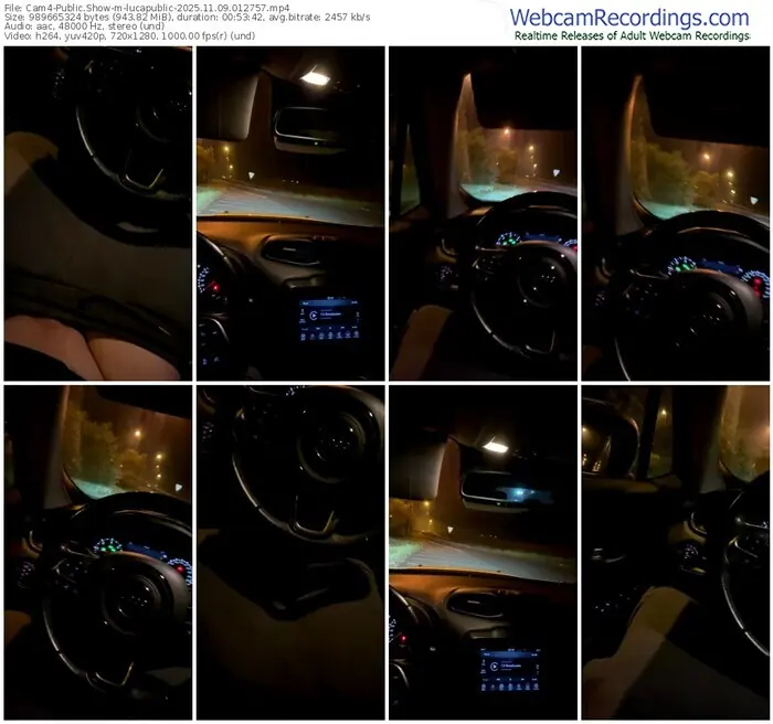 2025/11/09/cam4-lucapublic-01-27-57