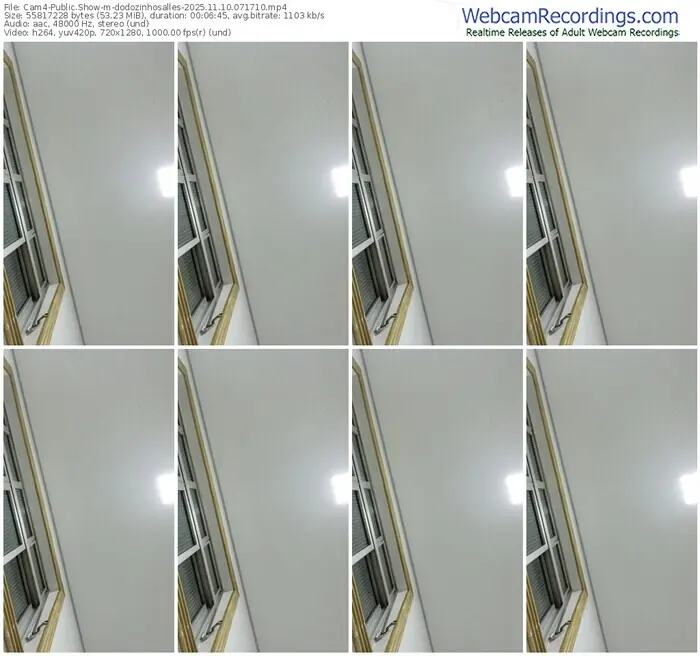 2025/11/10/cam4-dodozinhosalles-07-17-10