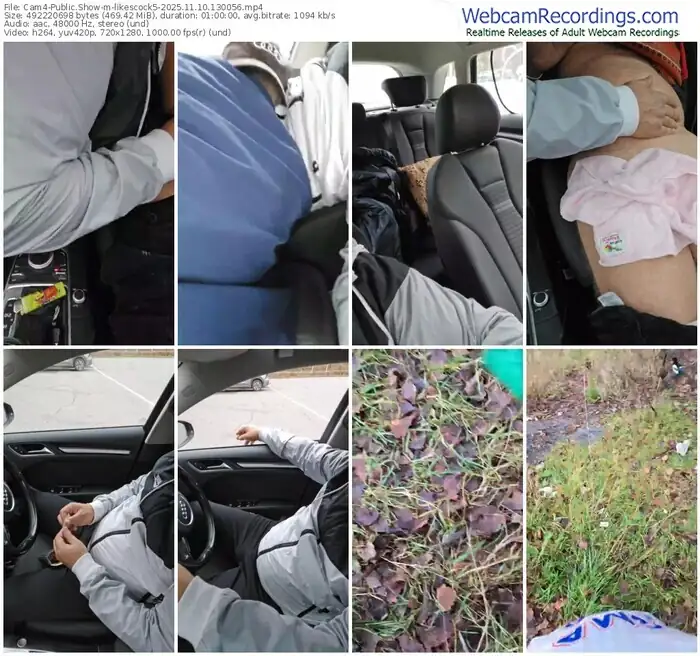 2025/11/10/cam4-likescock5-13-00-56