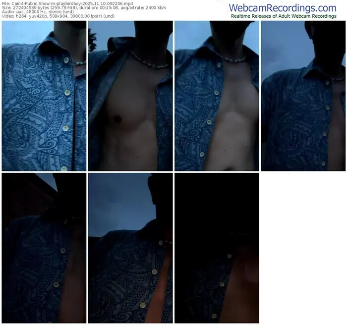 2025/11/10/cam4-playbirdboy-09-22-06