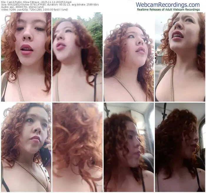 2025/11/12/cam4-brave_-20-32-53