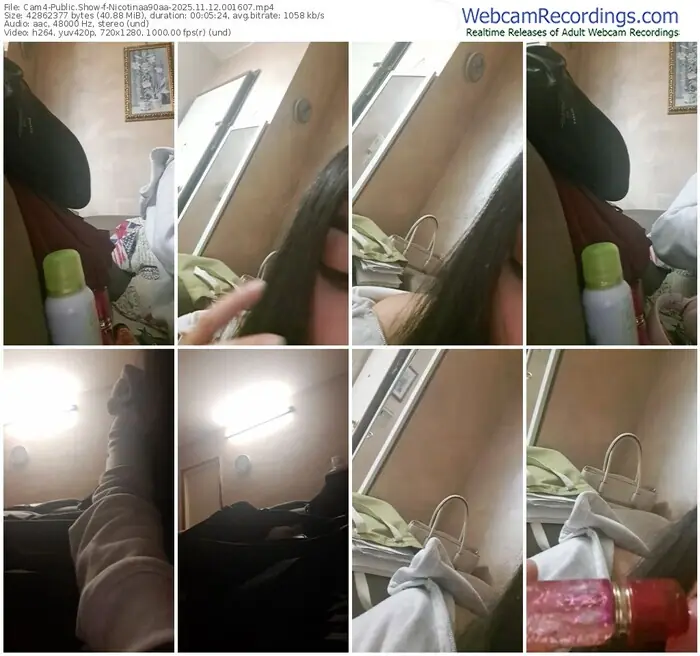 2025/11/12/cam4-nicotinaa90aa-00-16-07