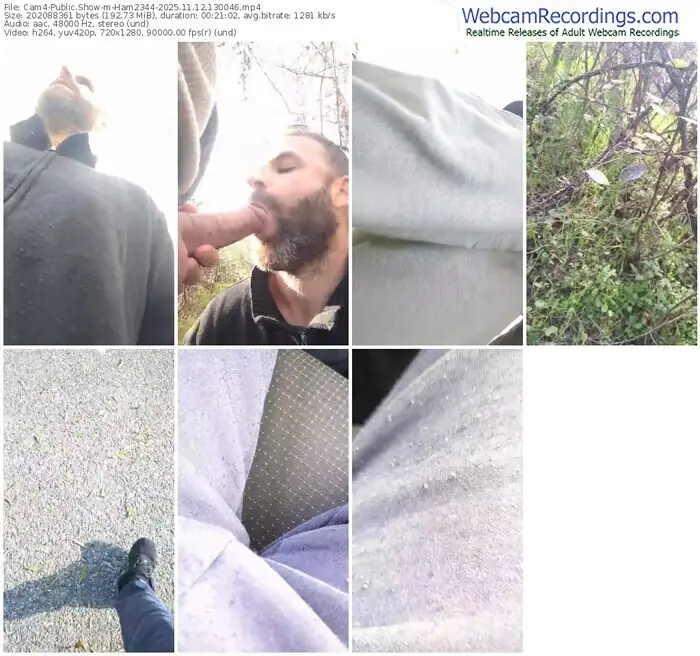 2025/11/12/cam4-ham2344-13-00-46