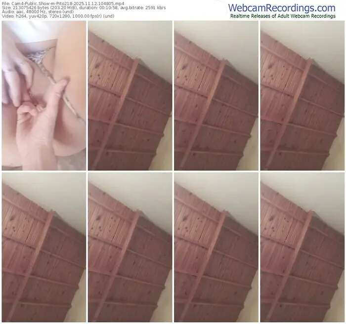 2025/11/12/cam4-pito218-10-48-05