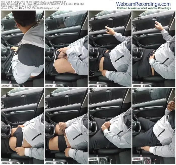 2025/11/12/cam4-likescock5-10-36-02