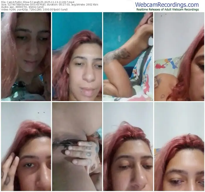 2025/11/13/cam4-casaltj25-11-20-17