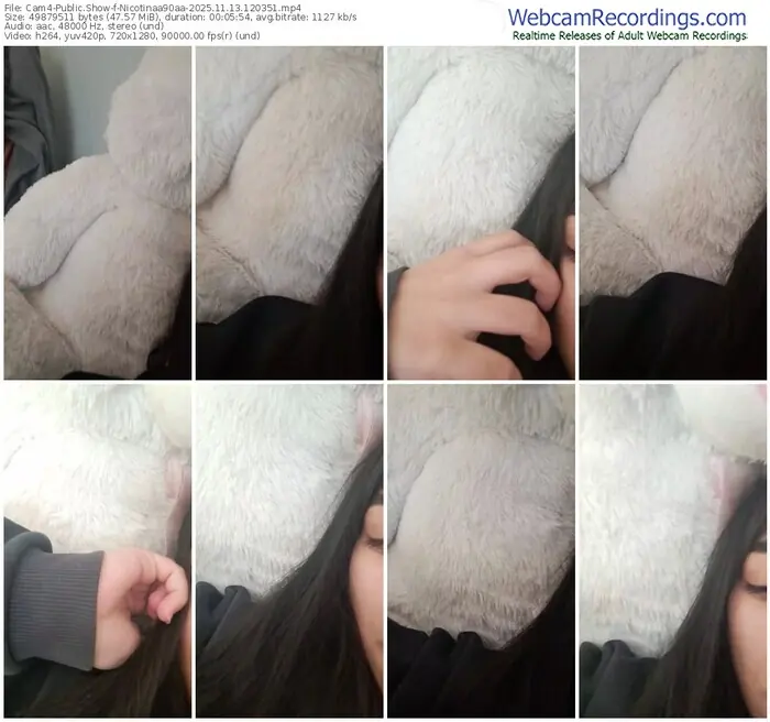 2025/11/13/cam4-nicotinaa90aa-12-03-51