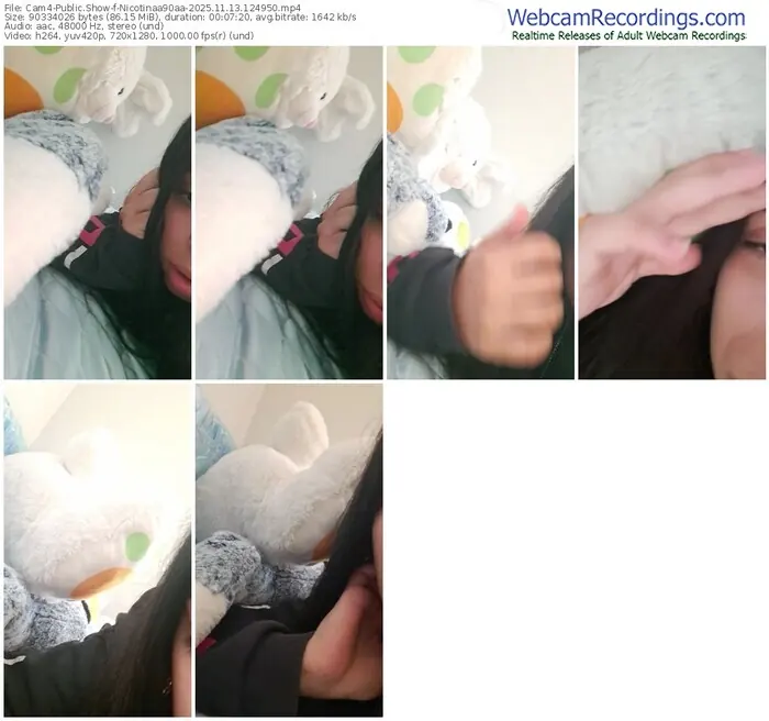 2025/11/13/cam4-nicotinaa90aa-12-49-50