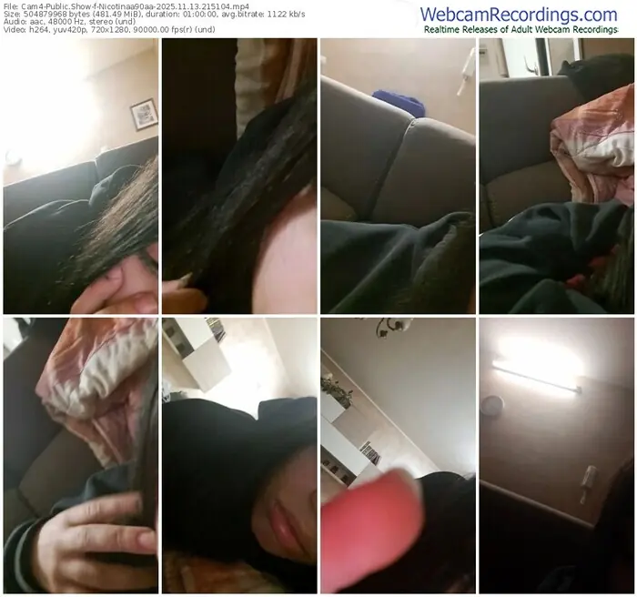 2025/11/13/cam4-nicotinaa90aa-21-51-04