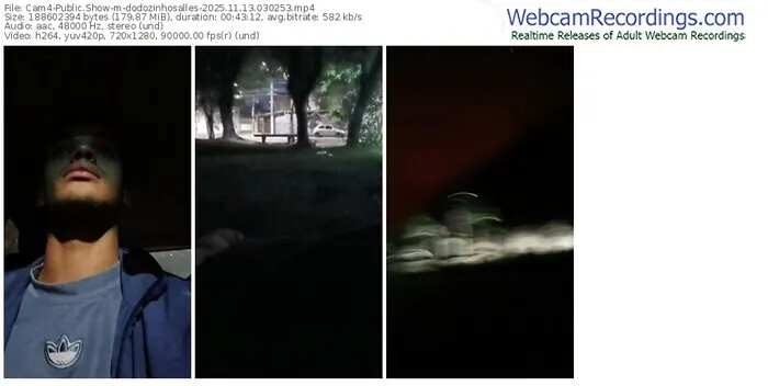 2025/11/13/cam4-dodozinhosalles-03-02-53