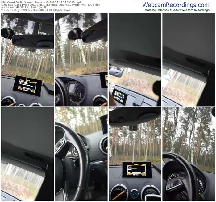 2025/11/13/cam4-likescock5-13-35-13