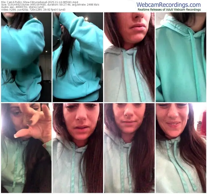 2025/11/14/cam4-brunedusud-08-50-41