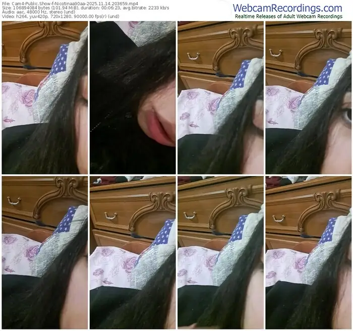 2025/11/14/cam4-nicotinaa90aa-20-36-59