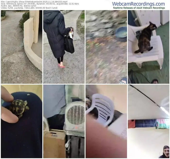 2025/11/14/cam4-petitebombe34-08-42-33