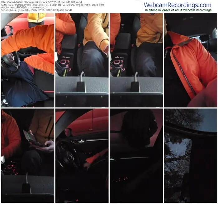 2025/11/14/cam4-likescock5-14-39-04