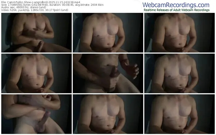 2025/11/15/cam4-angridbird-16-31-38