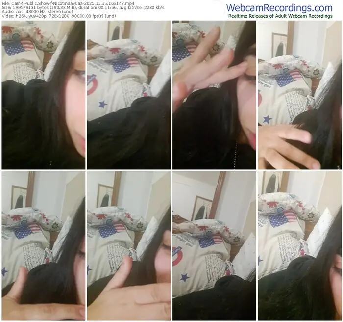 2025/11/15/cam4-nicotinaa90aa-16-51-42