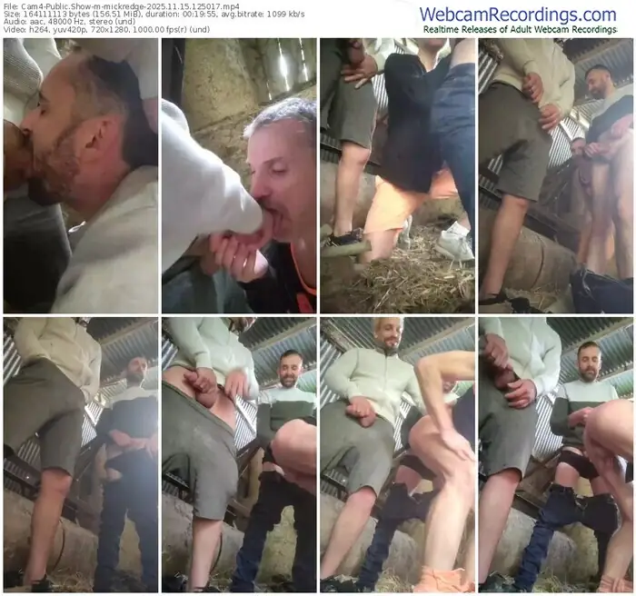 2025/11/15/cam4-mickredge-12-50-17