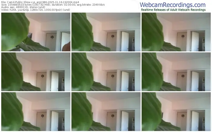 2025/11/16/cam4-p_arg1986-19-20-04