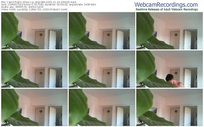 2025/11/16/cam4-p_arg1986-20-50-25