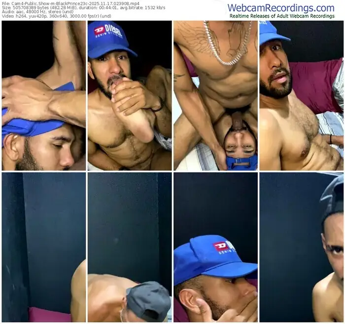 2025/11/17/cam4-blackprince23c-02-39-08