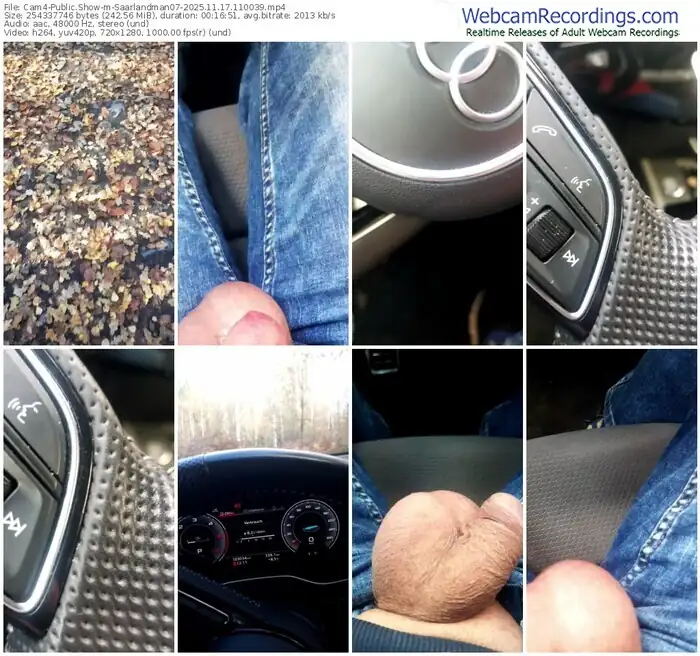 2025/11/17/cam4-saarlandman07-11-00-39