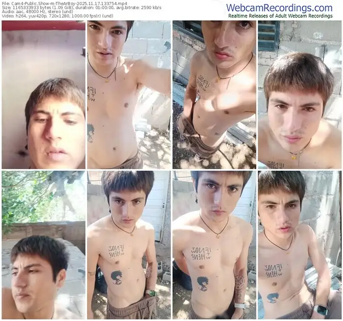 2025/11/17/cam4-thearboy-13-37-54