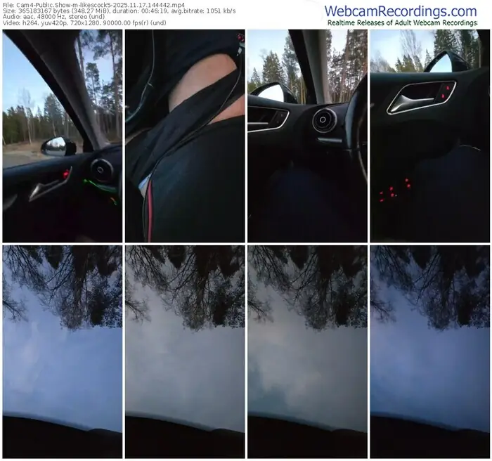 2025/11/17/cam4-likescock5-14-44-42