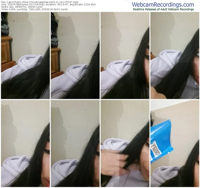 2025/11/18/cam4-nicotinaa90aa-17-55-37